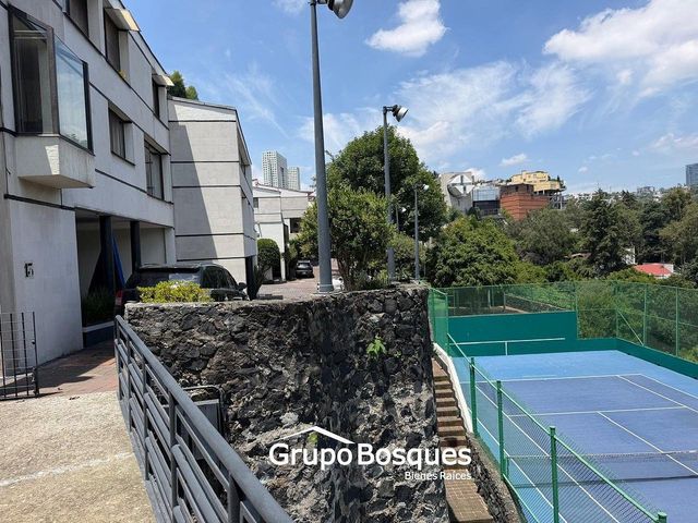 place photo 28