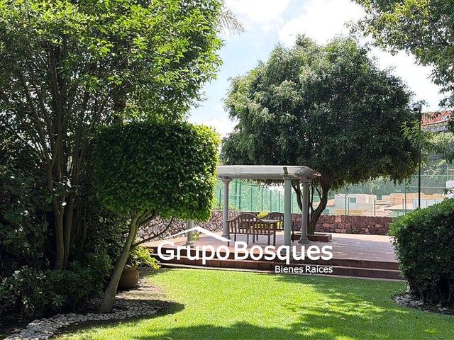 place photo 30