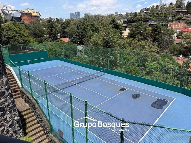 place photo 32