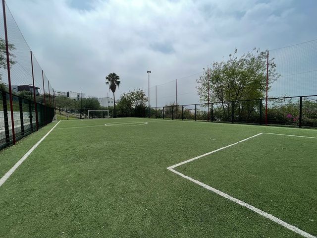 place photo 28