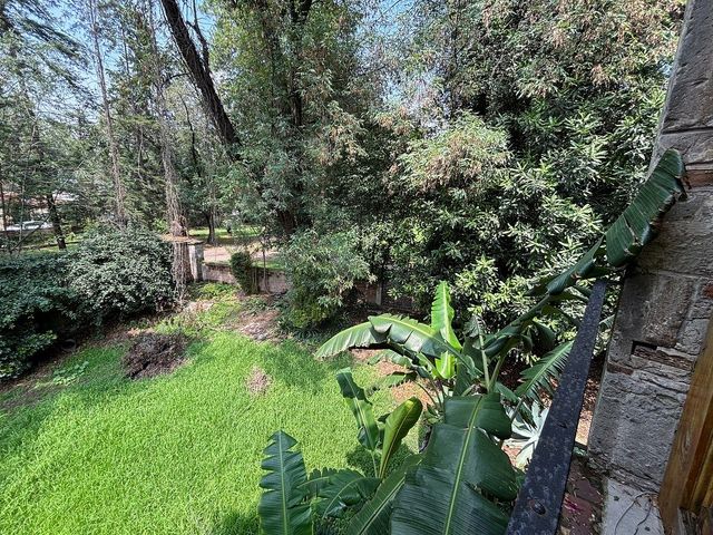 place photo 41