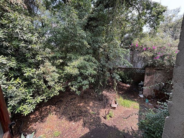place photo 46
