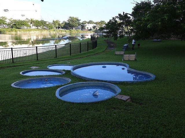 place photo 23
