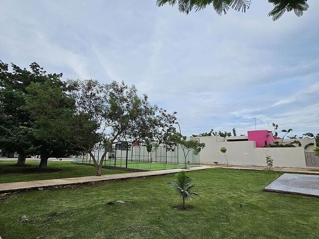 place photo 14