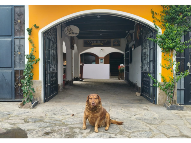 place photo 15