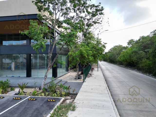place photo 27