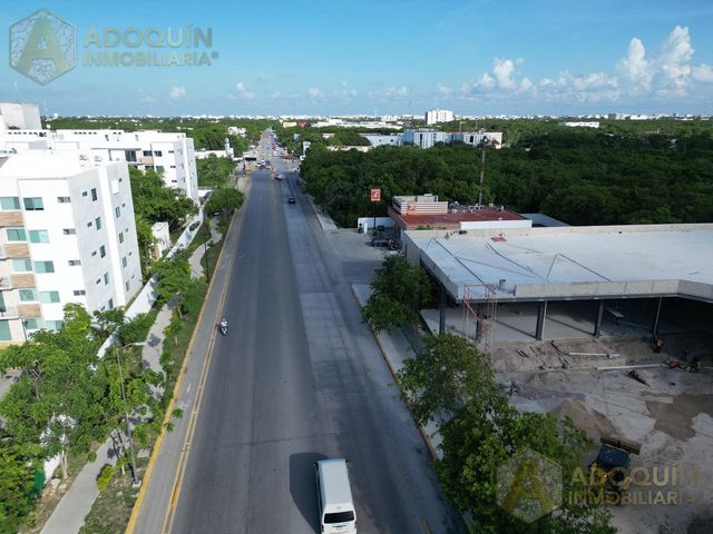 place photo 24