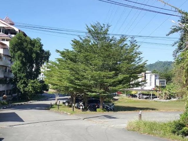 place photo 18