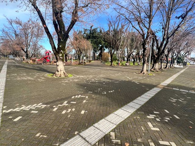 place photo 14