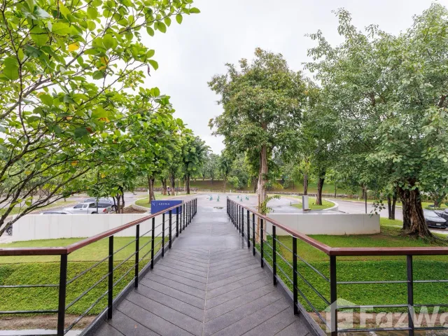 place photo 48