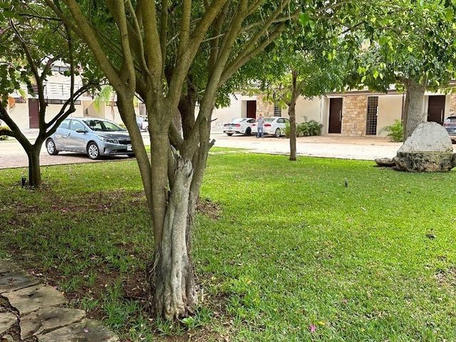 place photo 27
