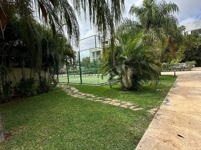 place photo 24