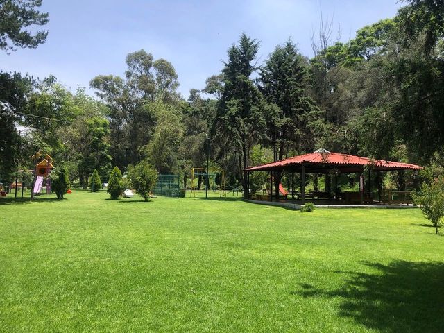 place photo 23