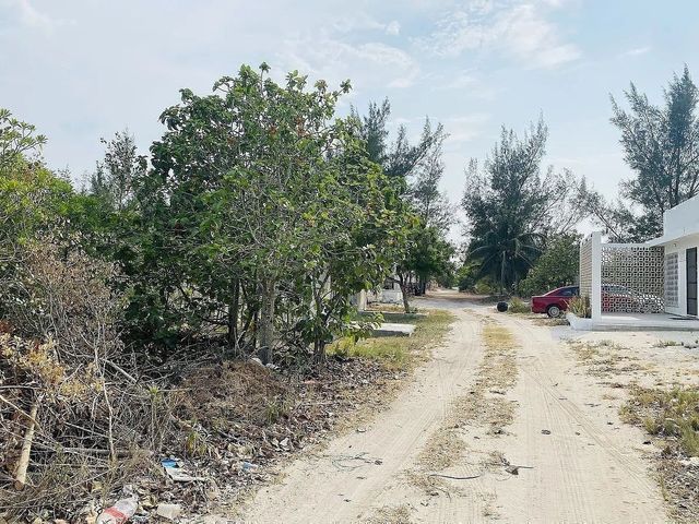 place photo 4