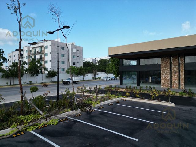 place photo 44