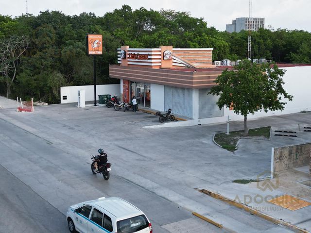 place photo 32