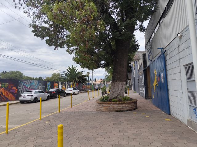 place photo 33