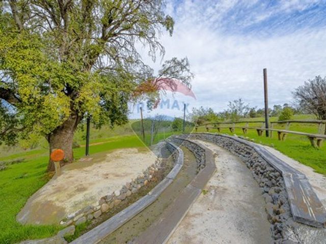 place photo 50