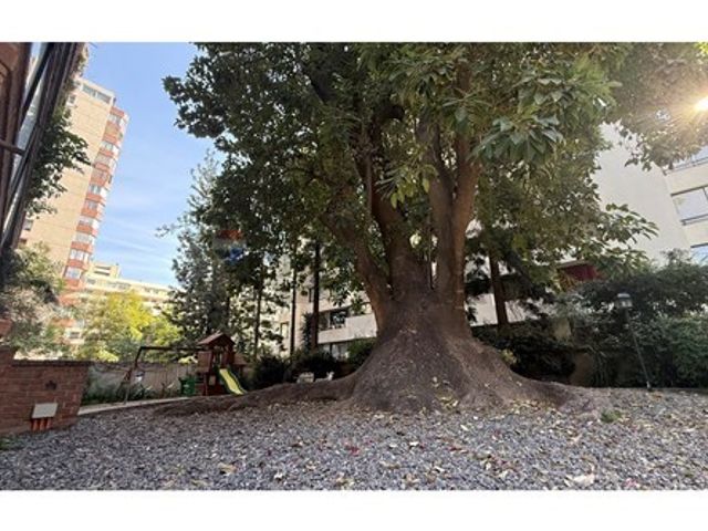 place photo 21