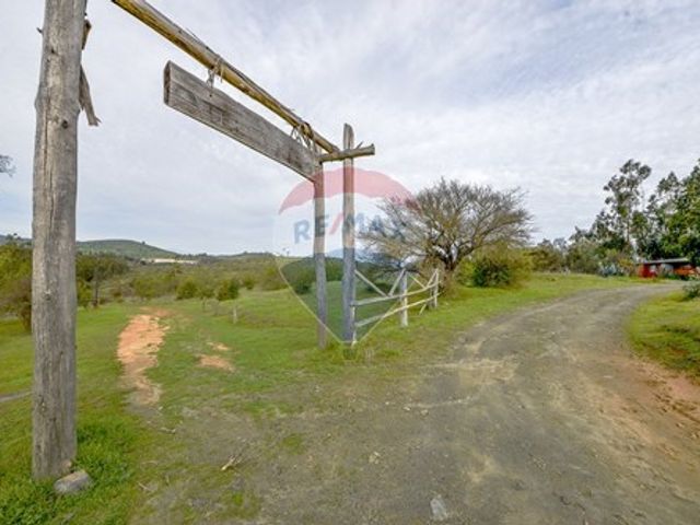 place photo 54