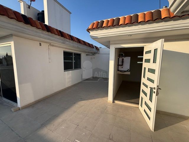place photo 53