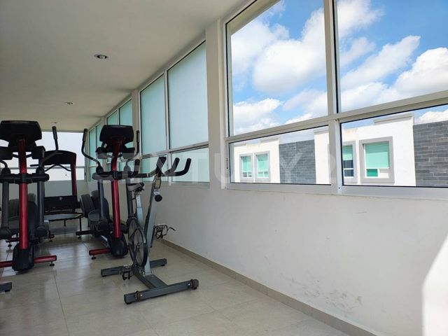 place photo 24