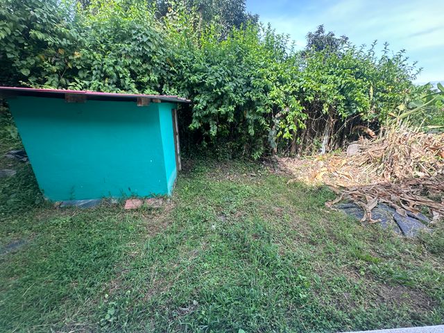 place photo 37