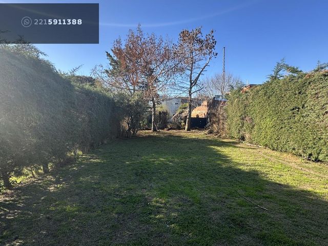 place photo 27