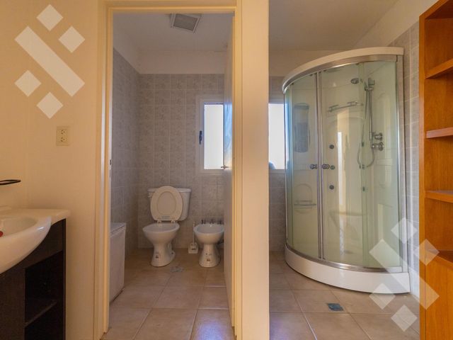 place photo 58