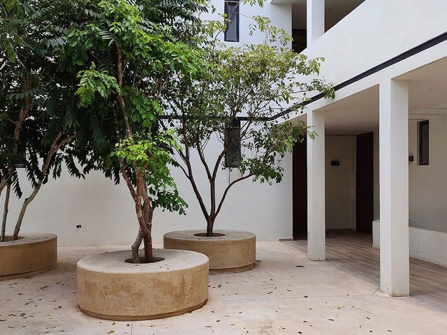 place photo 25