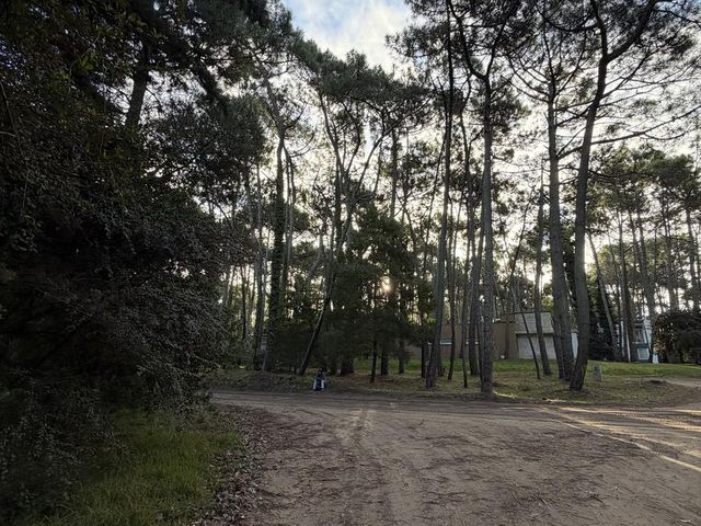 place photo 61