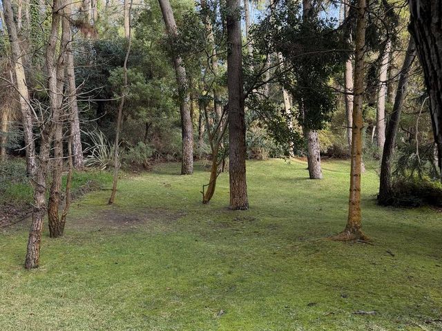 place photo 51