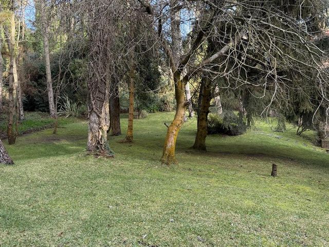 place photo 56