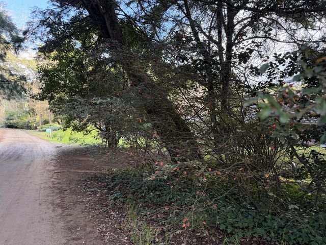 place photo 48