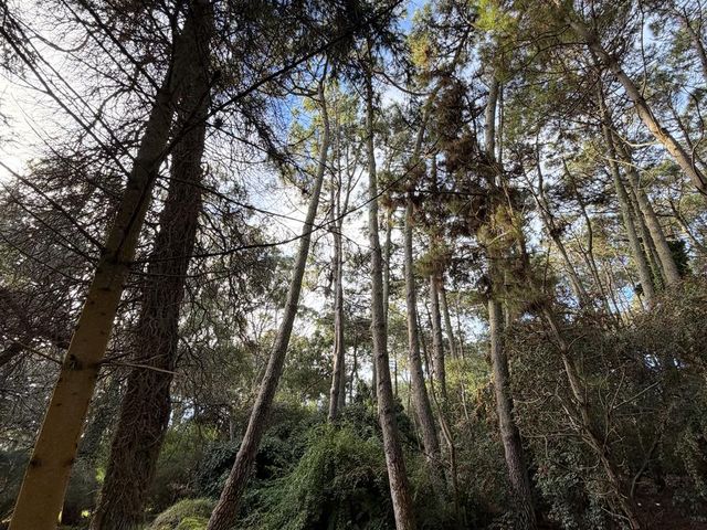 place photo 55