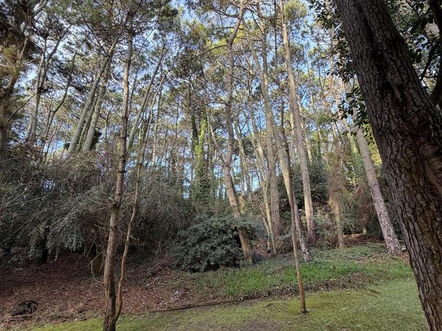 place photo 59