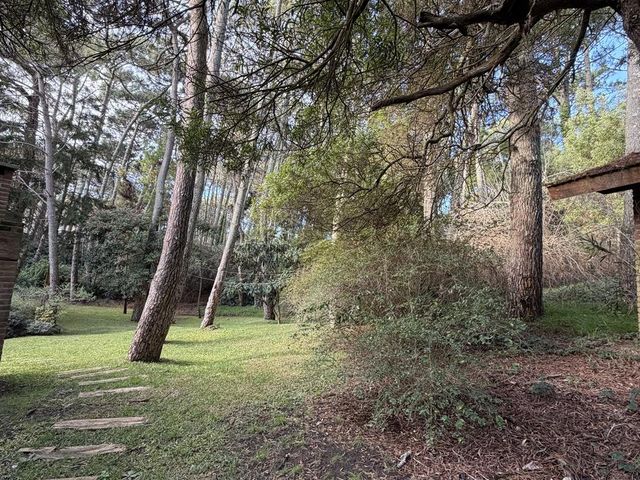 place photo 52