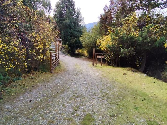 place photo 34
