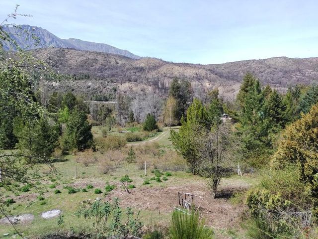 place photo 41