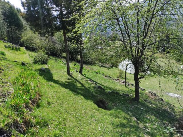 place photo 40