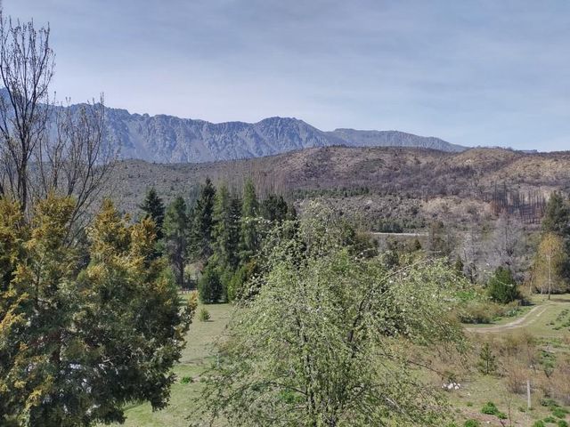 place photo 37