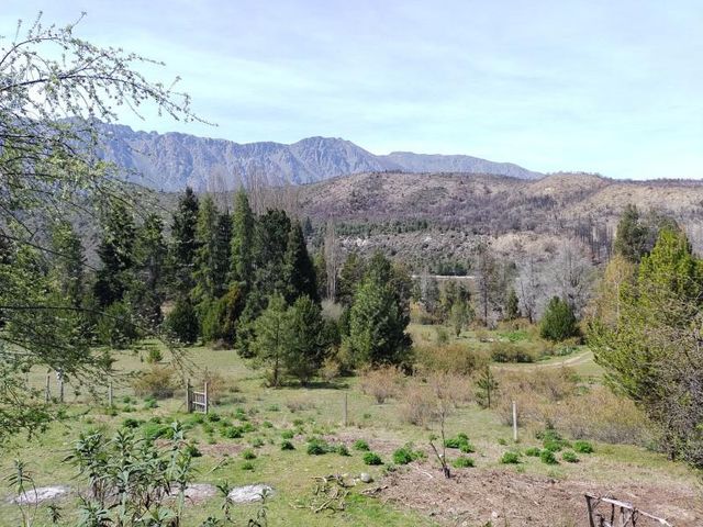 place photo 39