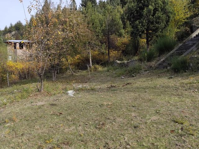 place photo 42