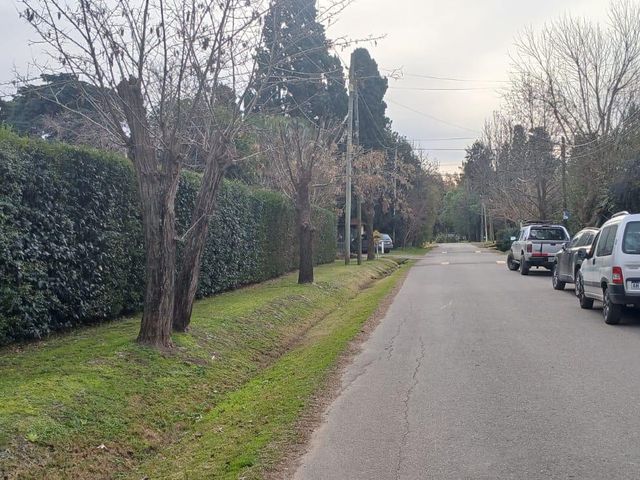 place photo 19