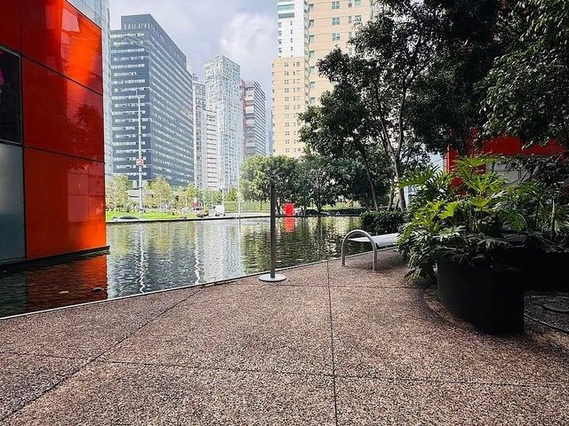 place photo 17