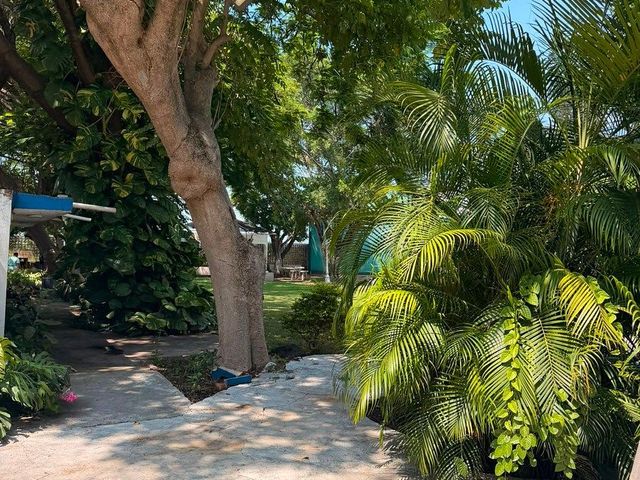 place photo 19