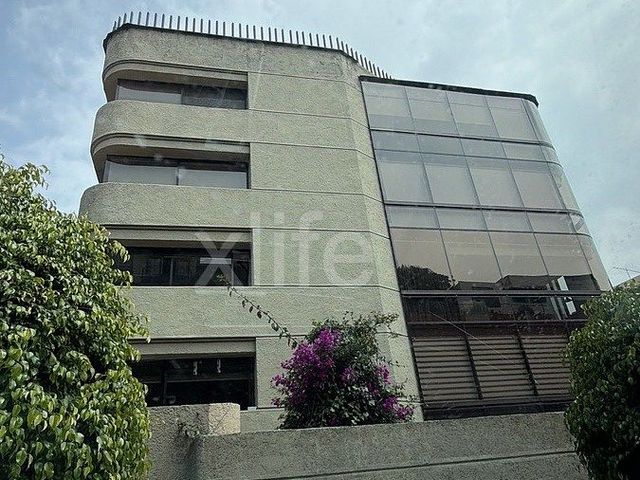 place photo 32