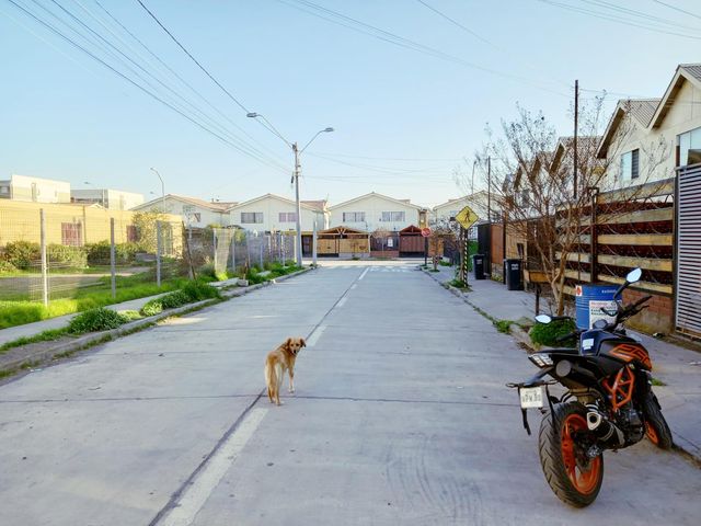 place photo 24