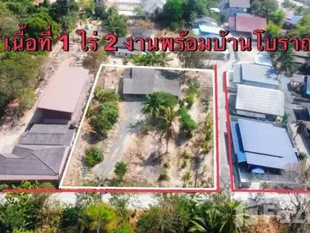 place photo 3