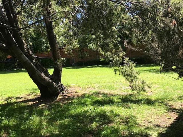 place photo 19